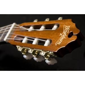 Washburn C5CE