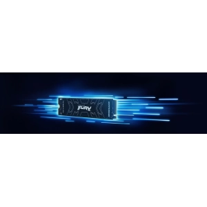 Kingston Fury SFYRS/500G