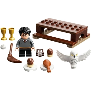 Constructor Lego Harry Potter and Hedwig Owl Delivery 30420