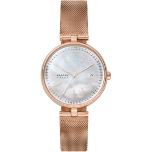 Reloj Skagen SKW2980