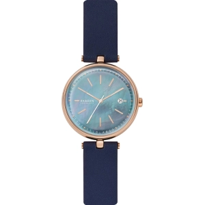 Reloj Skagen SKW2981