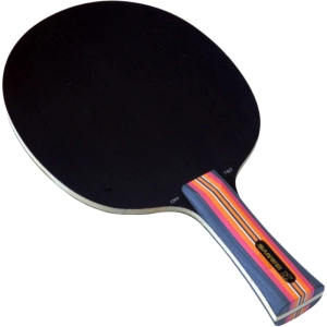 Raqueta de tenis de mesa Sanwei TS 7