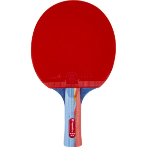 Raqueta de tenis de mesa inSPORTline Shootfair S5