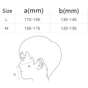 Xiaomi SmartMi KN95 M