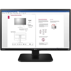 Monitor LG 24BK450H