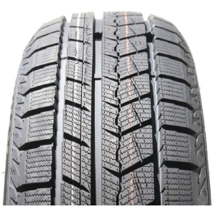 Fronway Icepower 868 225/45 R18 95H