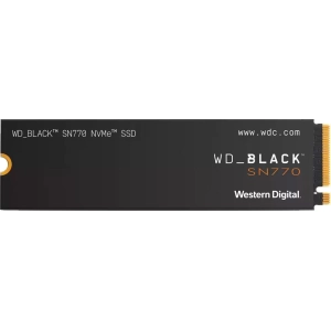 SSD WD WD S100T3X0E