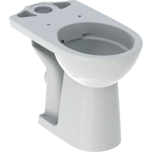 Baño Geberit Selnova Comfort 500.486.01.1