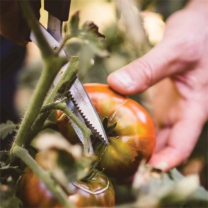 Herramientas y equipos de jardinería