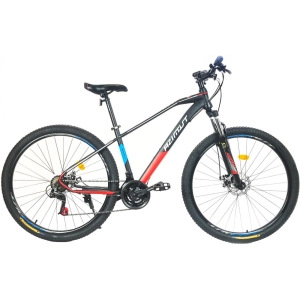 Bicicleta AZIMUT Gemini 29 GD frame 17