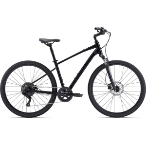 Giant Cypress 2 2022 frame L