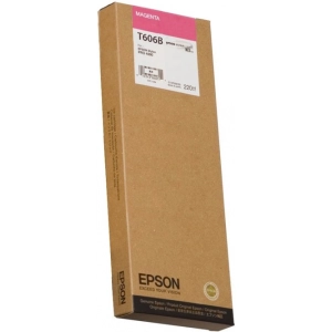 Cartucho Epson T606B C13T606B00