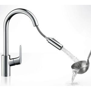 Hansgrohe Focus 31815000