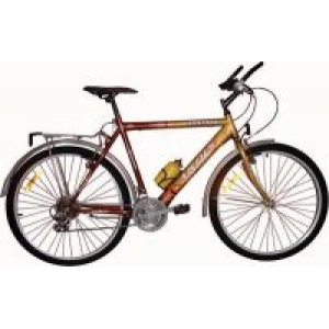 Bicicleta Ardis Santana CTB 24