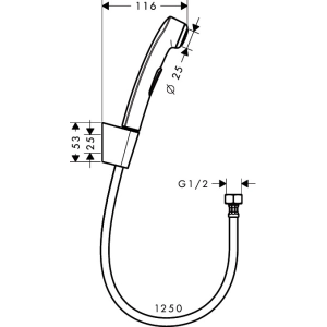 Hansgrohe Hygienic Shower 32129000