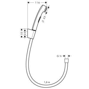 Hansgrohe Hygienic Shower 32128000