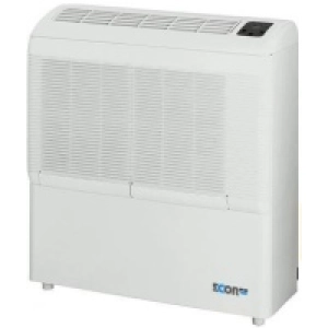 Secador de aire Ecor Pro D950E