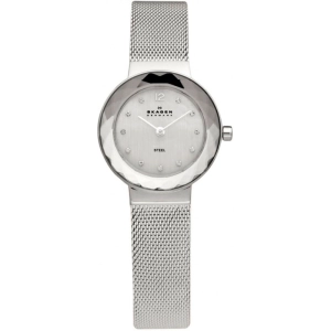 Reloj Skagen 456SSS