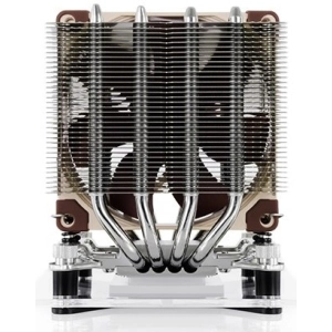 Noctua