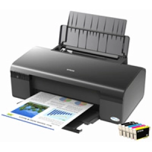 Impresora Epson Stylus C110