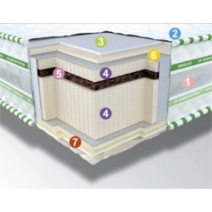 Neolux Bio 3D