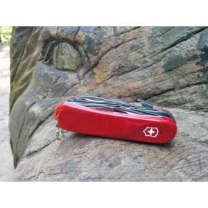 Victorinox