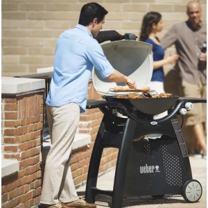 Weber Q 3200