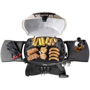 Weber Q 3200