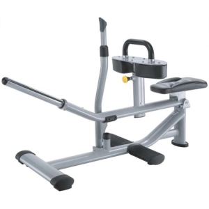 Entrenador de fuerza SportsArt Fitness A981