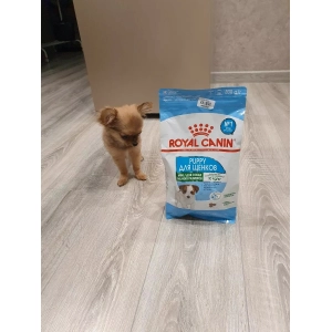 Royal Canin Mini Puppy 0.8 kg