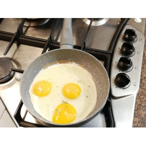 Platos de cocina