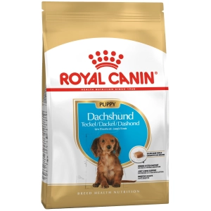 Comida para perros Royal Canin Dachshund Puppy 1,5 kg