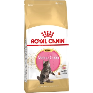 Comida para gatos Royal Canin Maine Coon Kitten 4 kg