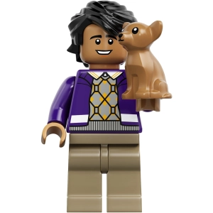 Lego The Big Bang Theory 21302