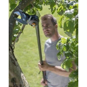 Tijeras de podar y tijeras de jardín