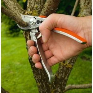 Tijeras de podar y tijeras de jardín