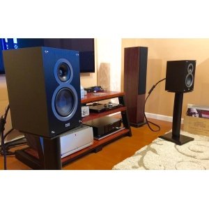 ELAC Debut B5