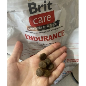 Brit Care Endurance Duck/Rice 12 kg