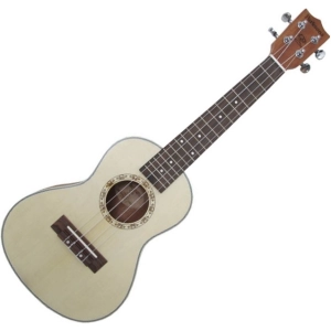 Guitarra Parksons UK21C