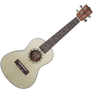 Guitarra Parksons UK24C