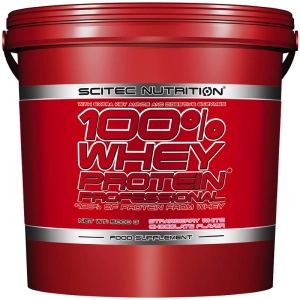 Proteína Scitec Nutrition 100 % Whey Protein Professional 5 kg