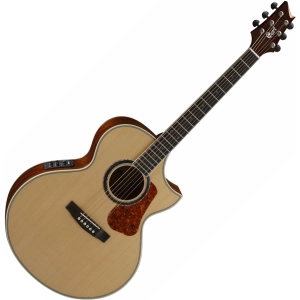 Guitarra Cort NDX20