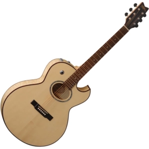 Guitarra Washburn EA20SDL