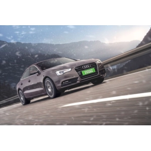 Nokian WR A4