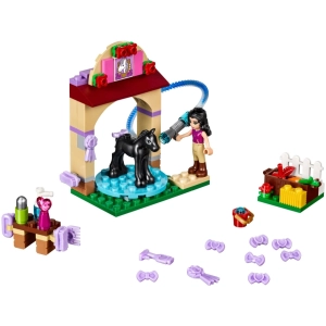 Constructor Lego Foals Washing Station 41123