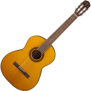 Guitarra Takamine GC1