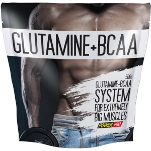 Aminoácidos Power Pro Glutamine/BCAA 500 g