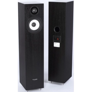 Pylon Audio Pearl 20