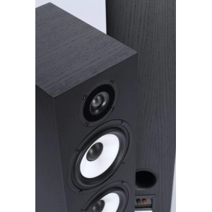 Pylon Audio Pearl 25