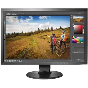 Monitor Eizo ColorEdge CS2420